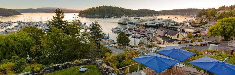 Friday Harbor: Four Best Things to Do